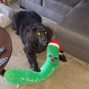 Meet your Posher, Lois